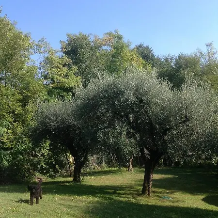 Ferienhaus Gardasee With Private Pool Soiano Del Lago